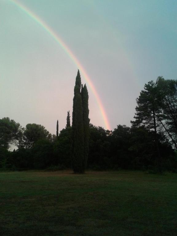 Domaine De Saint Clement Bed & Breakfast Prades-le-Lez Bagian luar foto