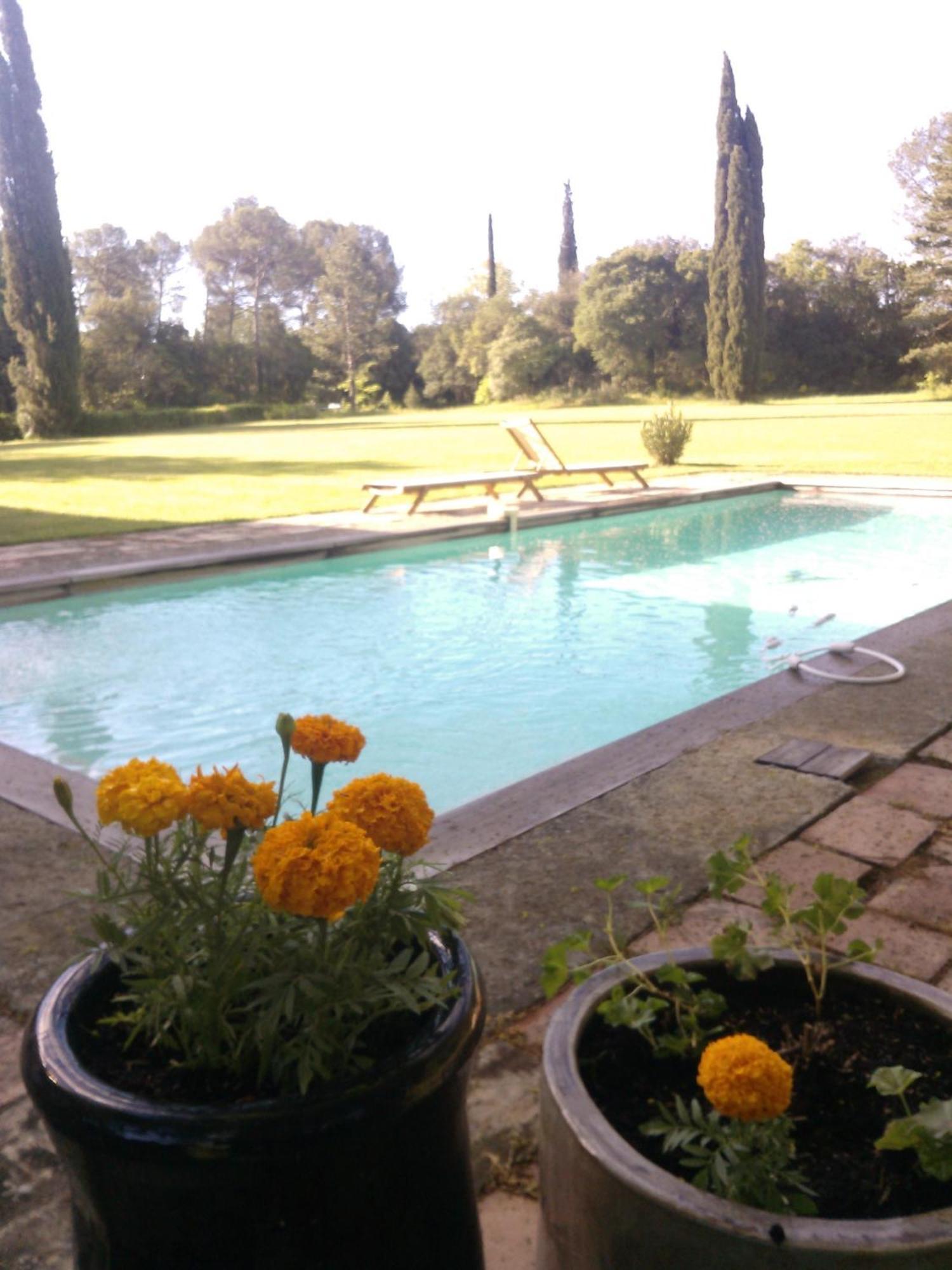 Domaine De Saint Clement Bed & Breakfast Prades-le-Lez Bagian luar foto
